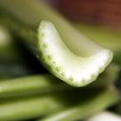 Cross section of a celery stalk