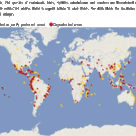 Extinction hotspots