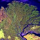 Lene river delta, Siberia