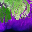 Ganges river delta