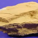 Siltstone