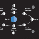 The Moon's phases