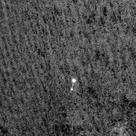 Phoenix spaceprobe descending to Mars on 25 may 2008