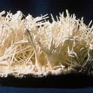 Aragonite acicular aggregate