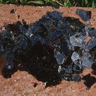 Biotite
