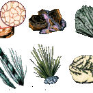 Main crystal growth habits