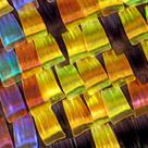 Wing scales of the sunset moth