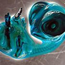 Chicken embryo