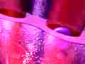 Respiratory system (III)